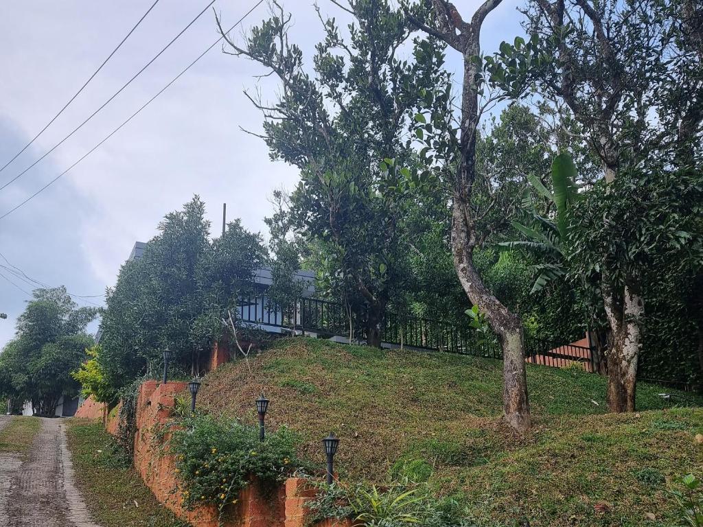 Zahrada ubytování Peakaavu Cottages