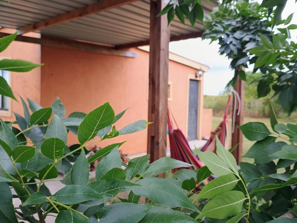 Zahrada ubytování Casa de descanso, disfrute y naturaleza