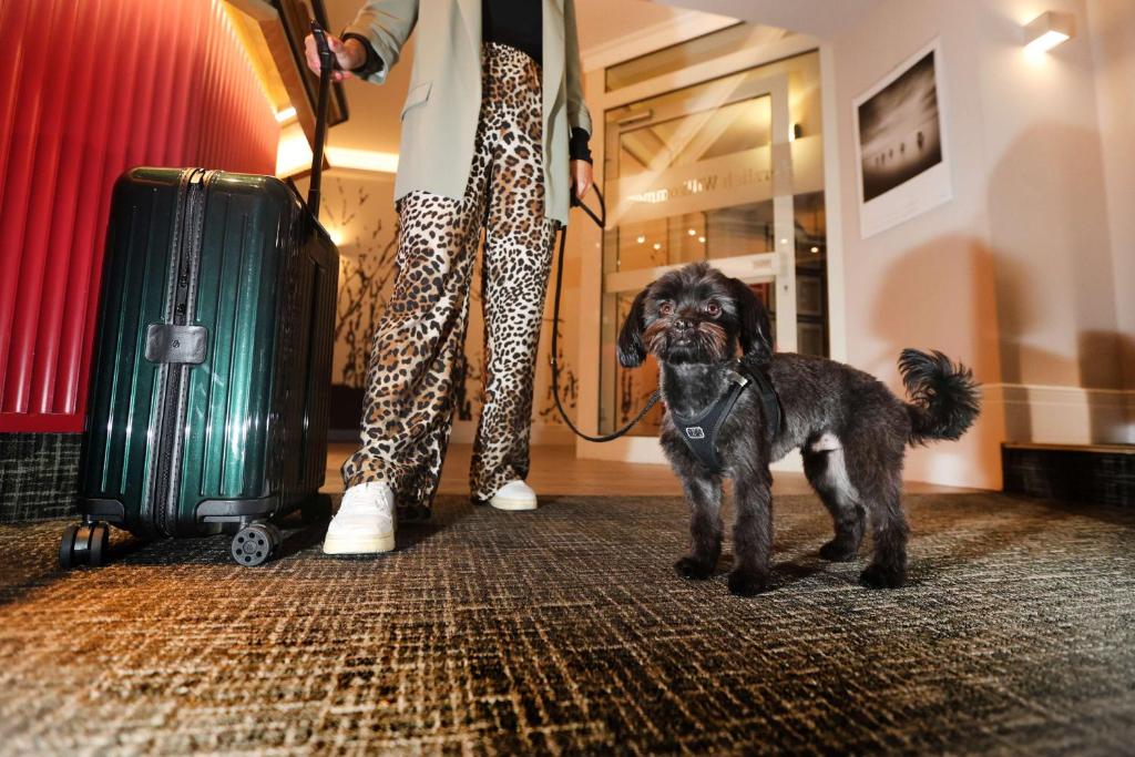 Best Western Hotel Windorf - Resim 5