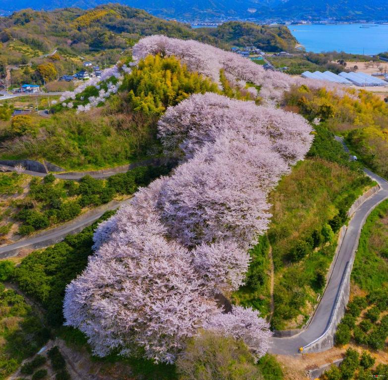 ヴィラの近くで見られる自然の景観