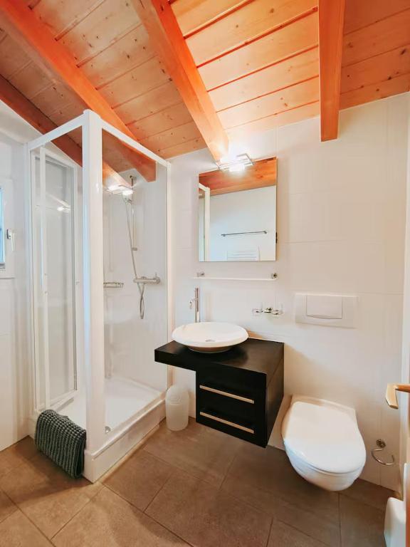 Koupelna v ubytování Entire Chalet with private Sauna