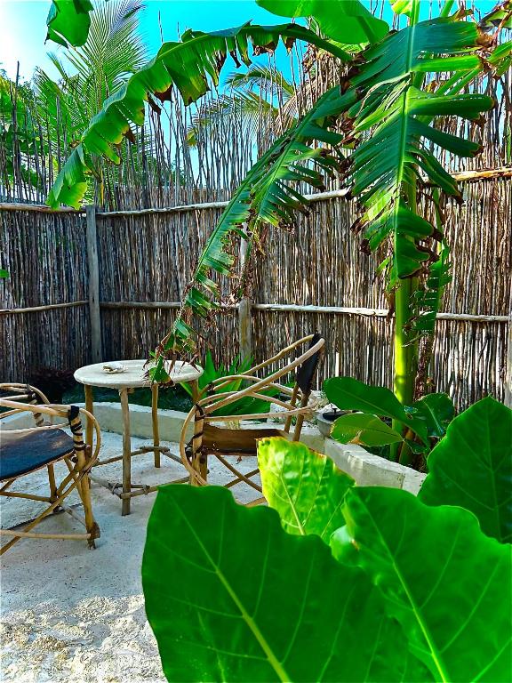 Ein Garten an der Unterkunft Zanzi Soul Luxury Boutique Hotel