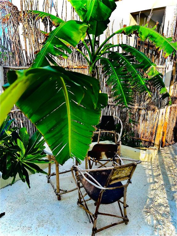 Ein Garten an der Unterkunft Zanzi Soul Luxury Boutique Hotel