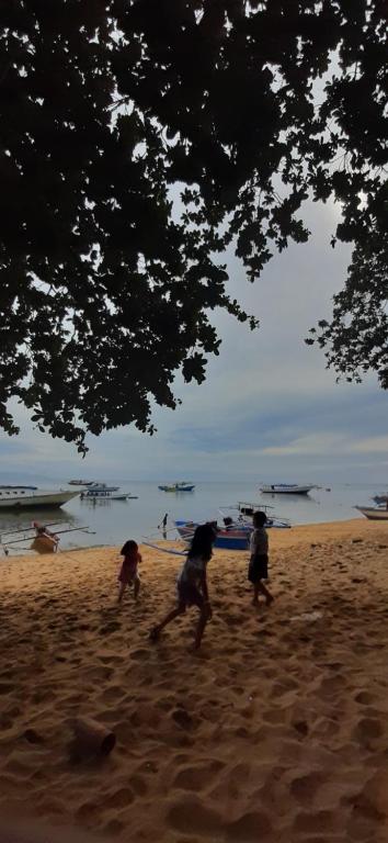 a group of people playing in the sand on the beach at Blesshi Guest House Bunaken in Bunaken