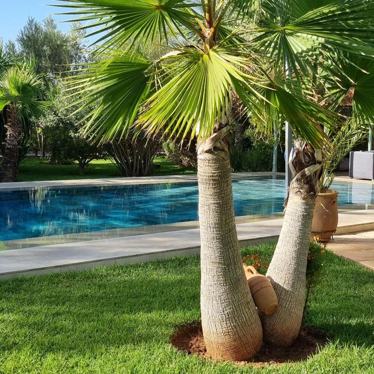 Riad les deux citronniers — photo 1
