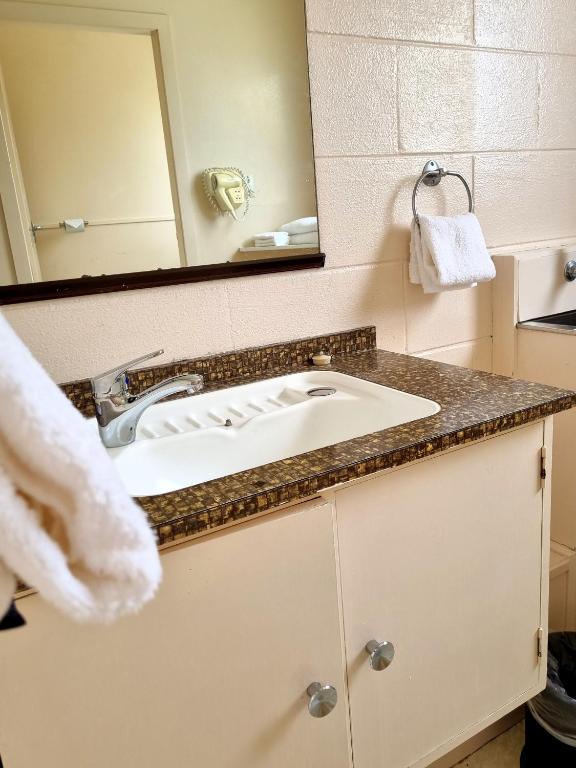 Cedar Lodge Motel Hamilton - Resim 37