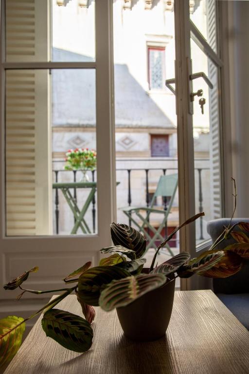 une plante assise sur une table devant une fenêtre dans l'établissement Le Banksy hyper centre avec terrasse, à Niort