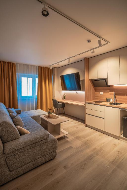 a living room with a couch and a kitchen at Lotus 1 in Ploieşti