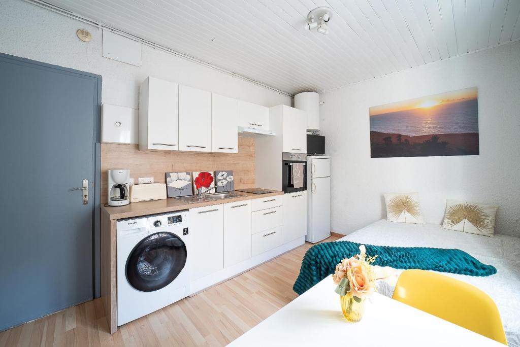 une cuisine avec une machine à laver dans une pièce dans l'établissement Le Bain d’Amélie - A 200m des Thermes, à Amélie-les-Bains-Palalda