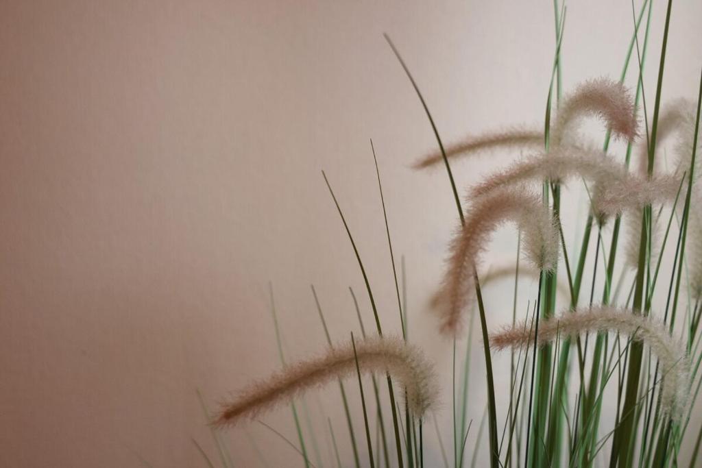 Fotografie z fotogalerie ubytování くつろぎのお宿 やわや 花水木 v destinaci Tojama