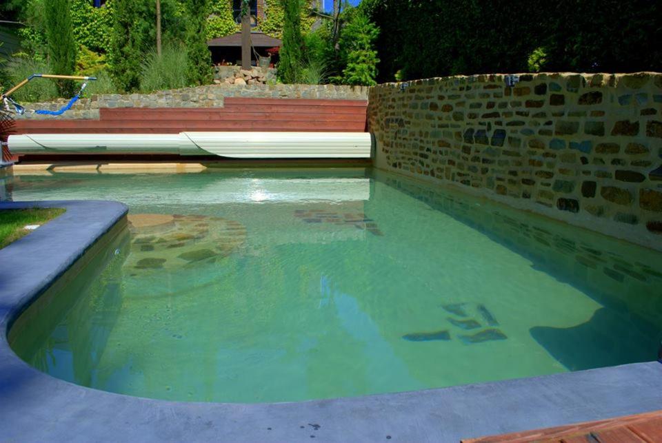 uma piscina de água verde numa piscina em La Fiole Ambiance em Ferrières