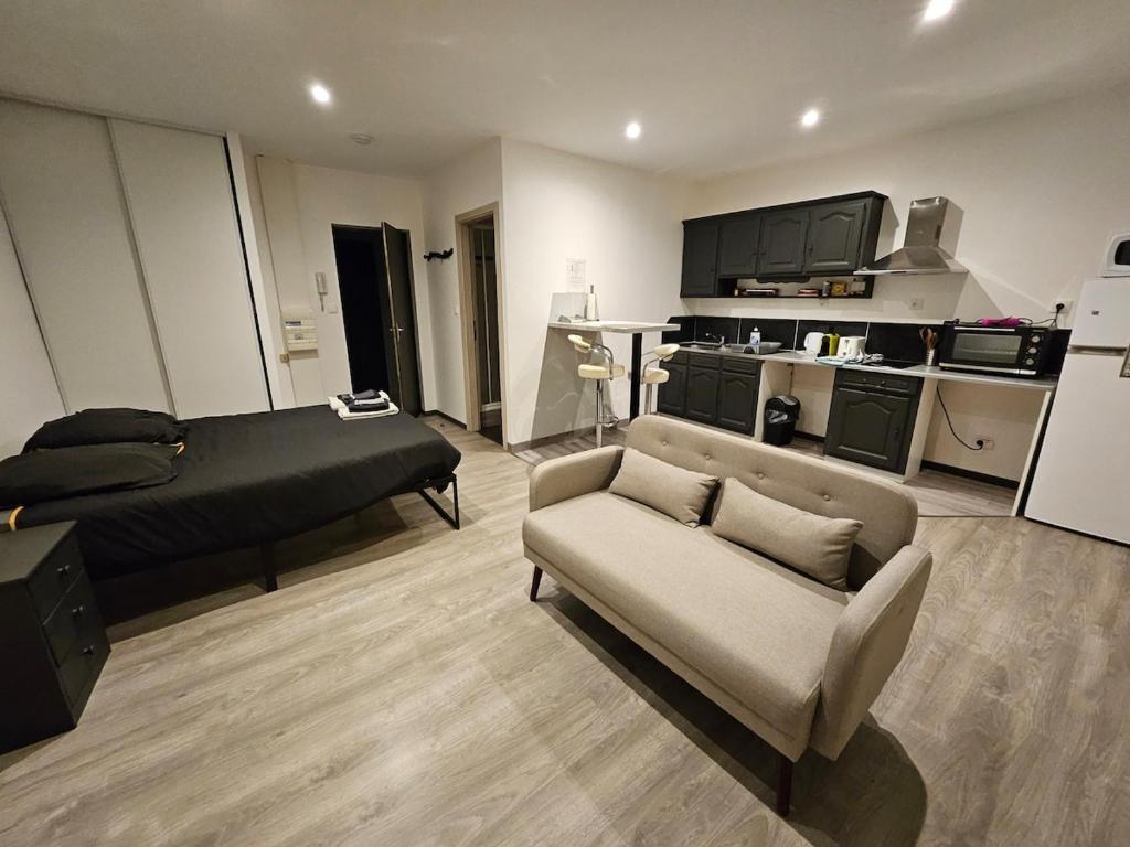 - un grand salon avec un lit et un canapé dans l'établissement Appartement tout équipé, à Nogent