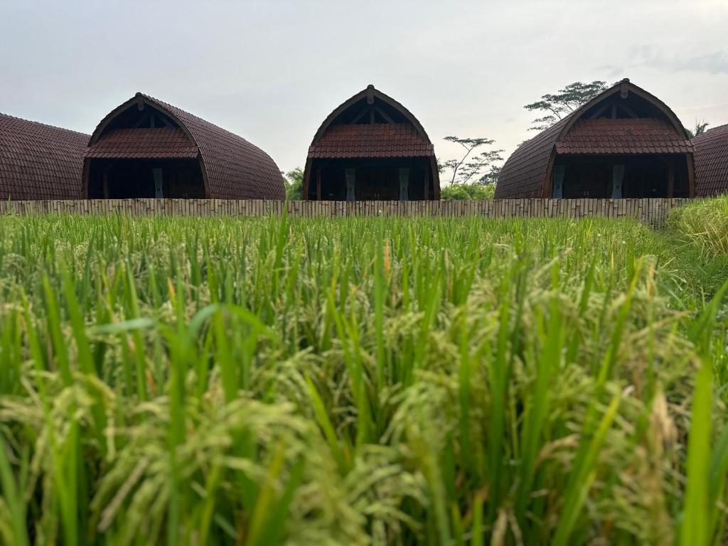 Villa Lumbung Sidemen - 1