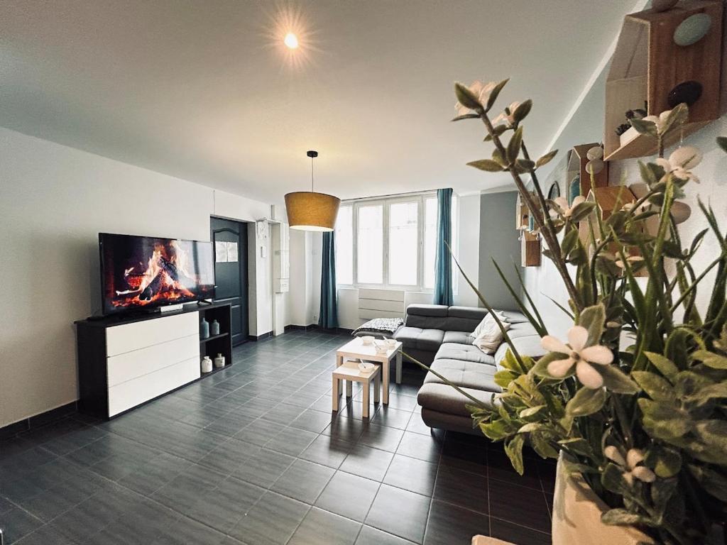 un salon avec un canapé et une télévision dans l'établissement Super 5 chambres avec 4 SDB près du centre et gare, à Reims