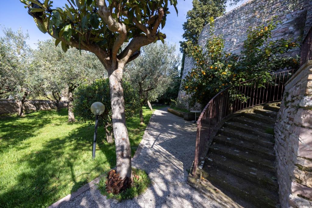 Zahrada ubytování Hotel Monastero Sant'Andrea