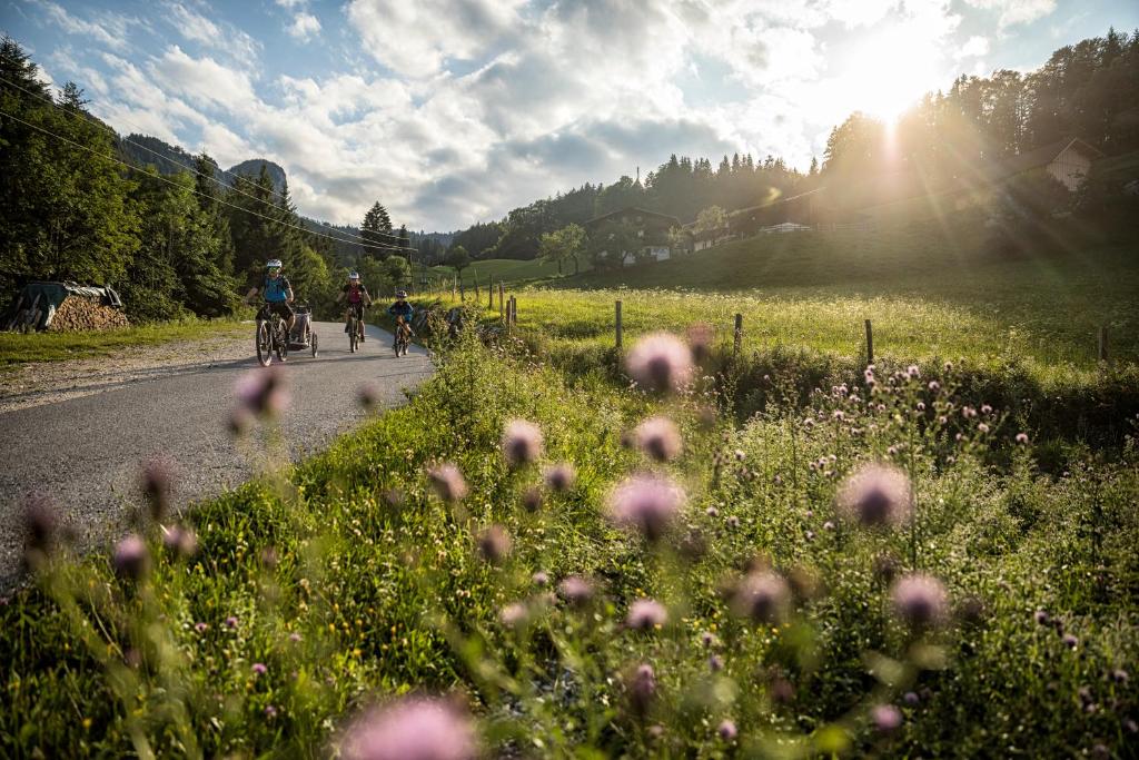 Příroda nedaleko penzionu – hostince