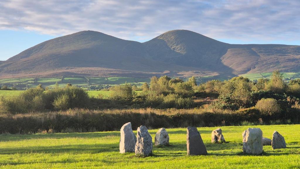 Náttúran í nágrenni smáhýsisins