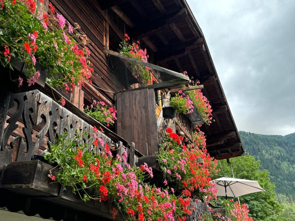 Zahrada ubytování Gîte la montagne
