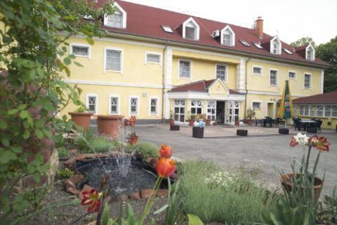 Zahrada ubytování Hotel Aranysas