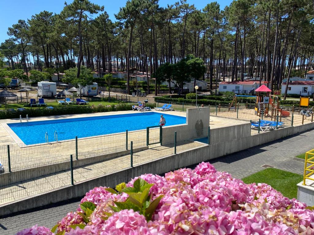 Ảnh trong thư viện ảnh của Parque de Campismo Orbitur Valado ở Nazaré