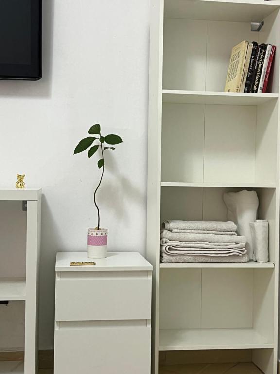 Fotografie z fotogalerie ubytování Private room 2 v destinaci Casablanca