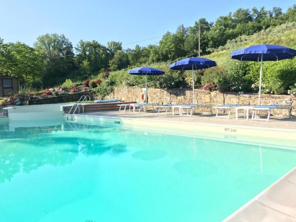 Bazén v ubytování Agriturismo Podere La Casaccia nebo v jeho okolí