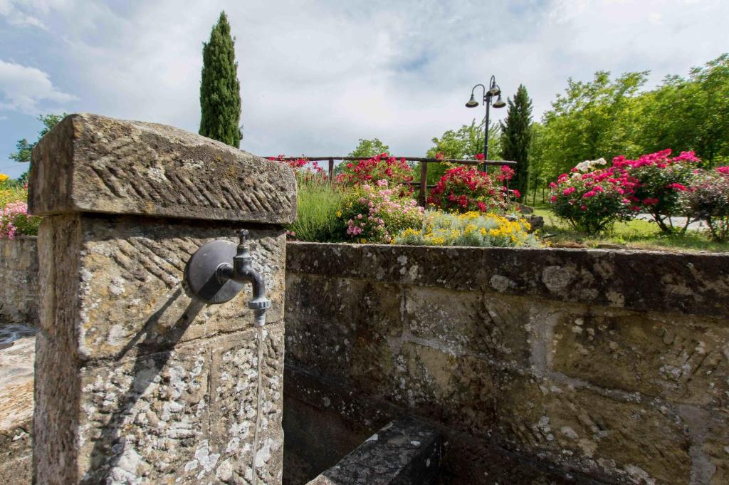 Zahrada ubytování Agriturismo Podere La Casaccia
