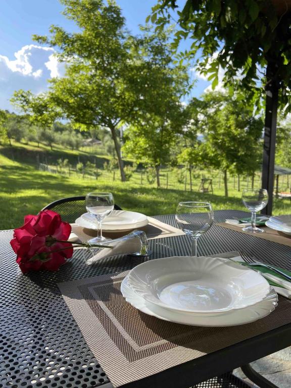 Zahrada ubytování Agriturismo Podere La Casaccia