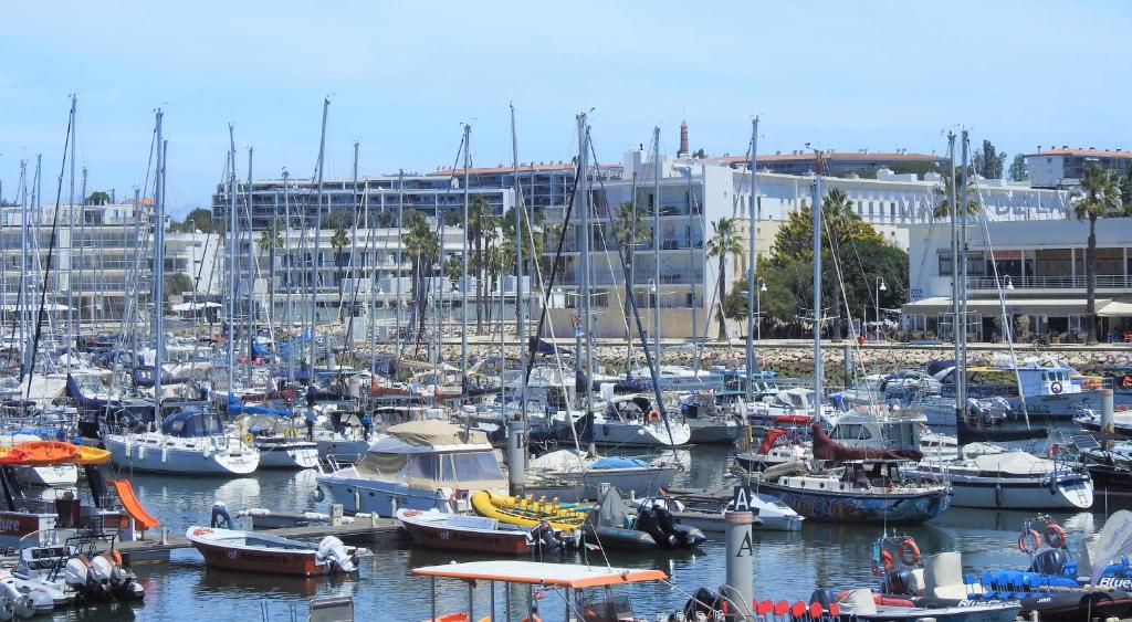 a bunch of boats are docked in a harbor at Lagos Factory Yellow by Marina with AC in Lagos