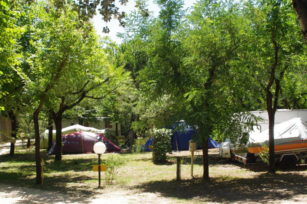 Zahrada ubytování Camping Valdor Camper & Pitch