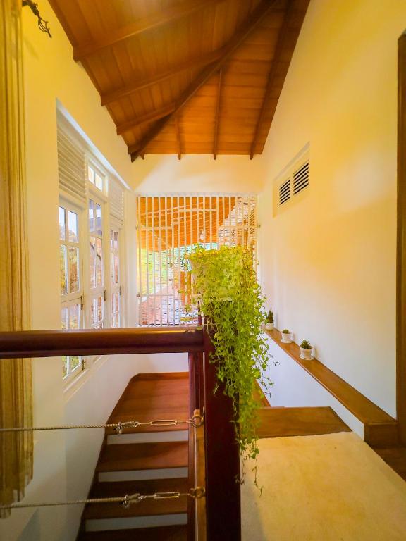 Fotografie z fotogalerie ubytování Deer Hill Rest Kandy v destinaci Kandy