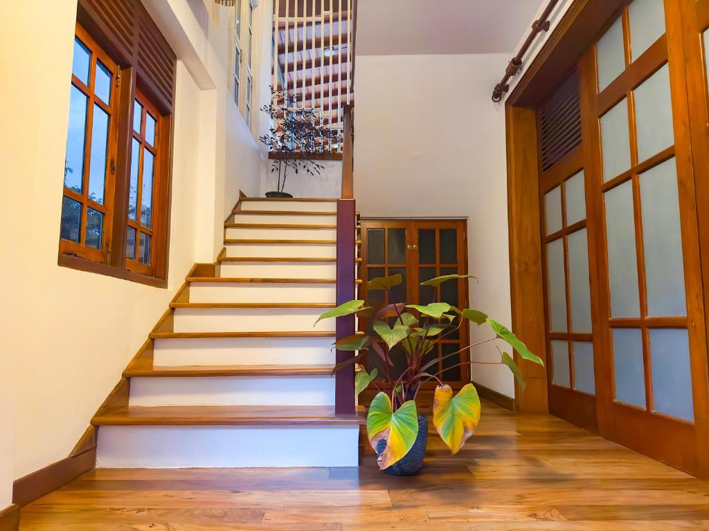 Fotografie z fotogalerie ubytování Deer Hill Rest Kandy v destinaci Kandy