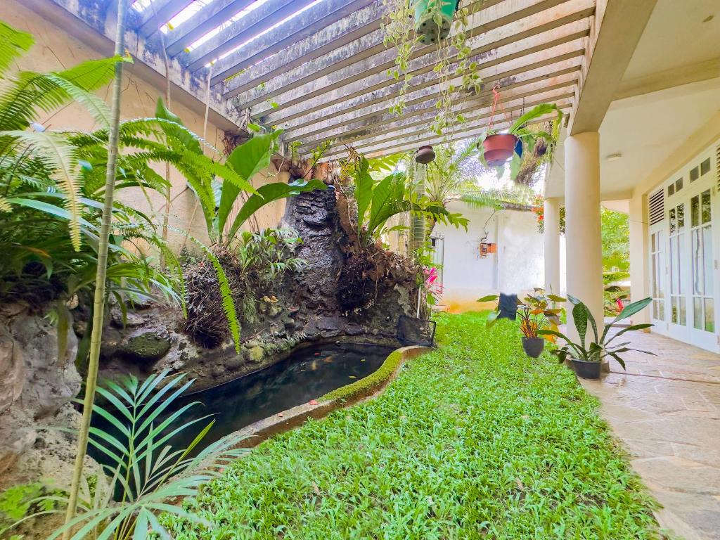 Zahrada ubytování Deer Hill Rest Kandy