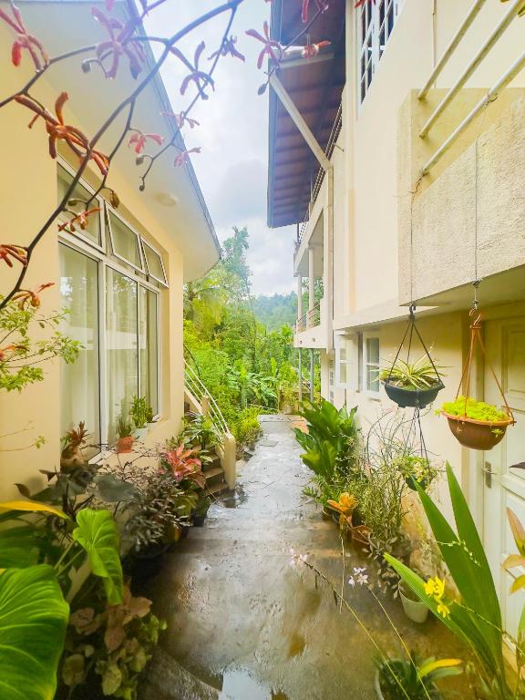 Zahrada ubytování Deer Hill Rest Kandy