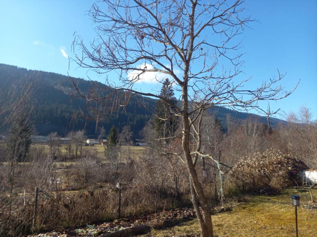 Príroda v okolí apartmánu