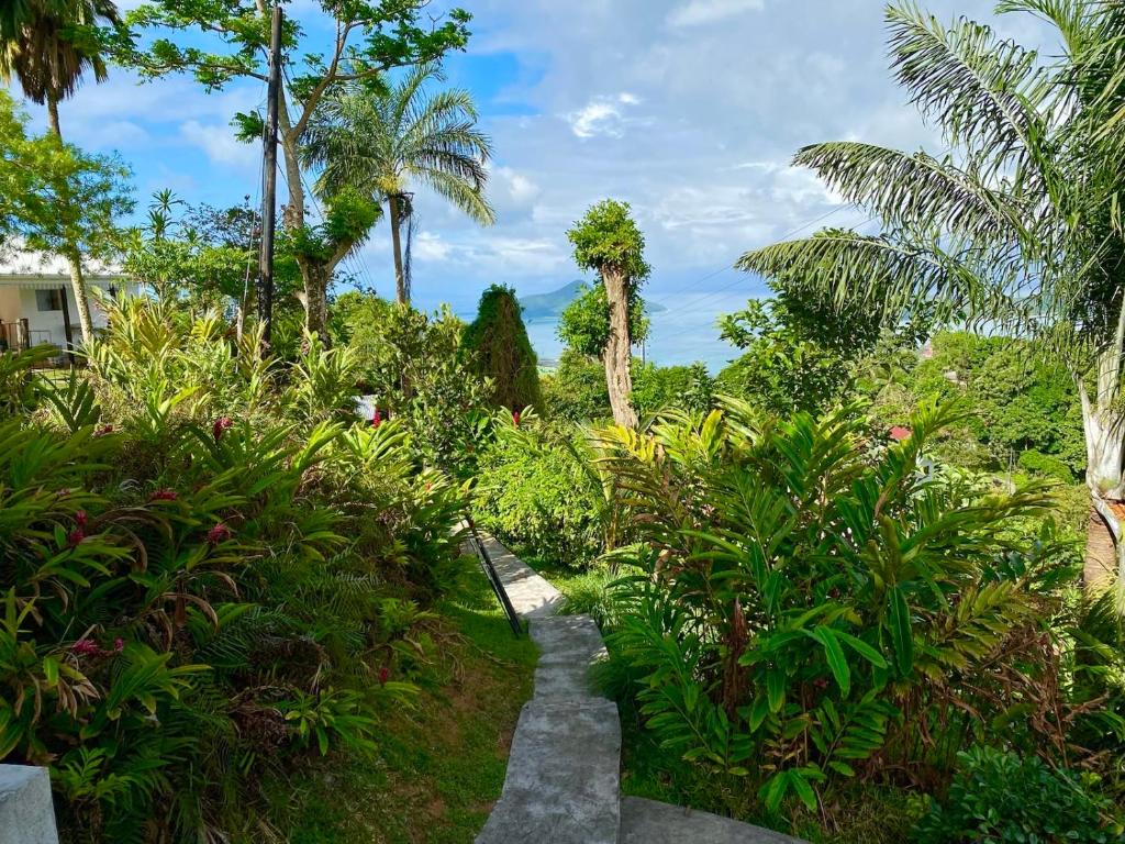 Zahrada ubytování Villa Abundance-The Station Seychelles-Sans Souci