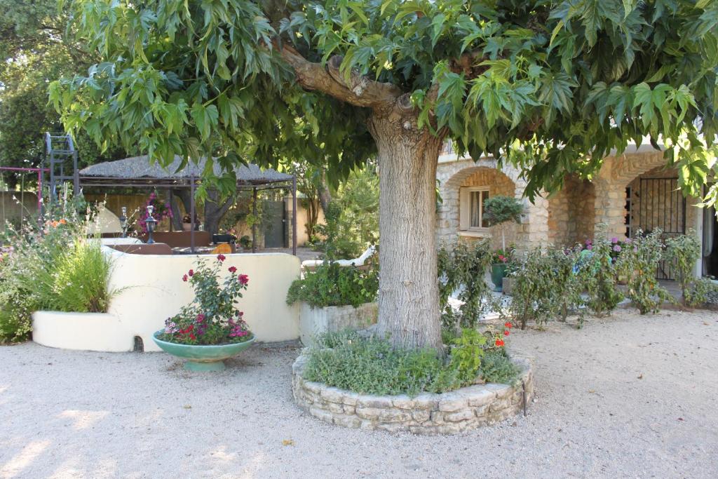 Zahrada ubytování Gîtes maisons de vacances Domaine la Chamade Carpentras
