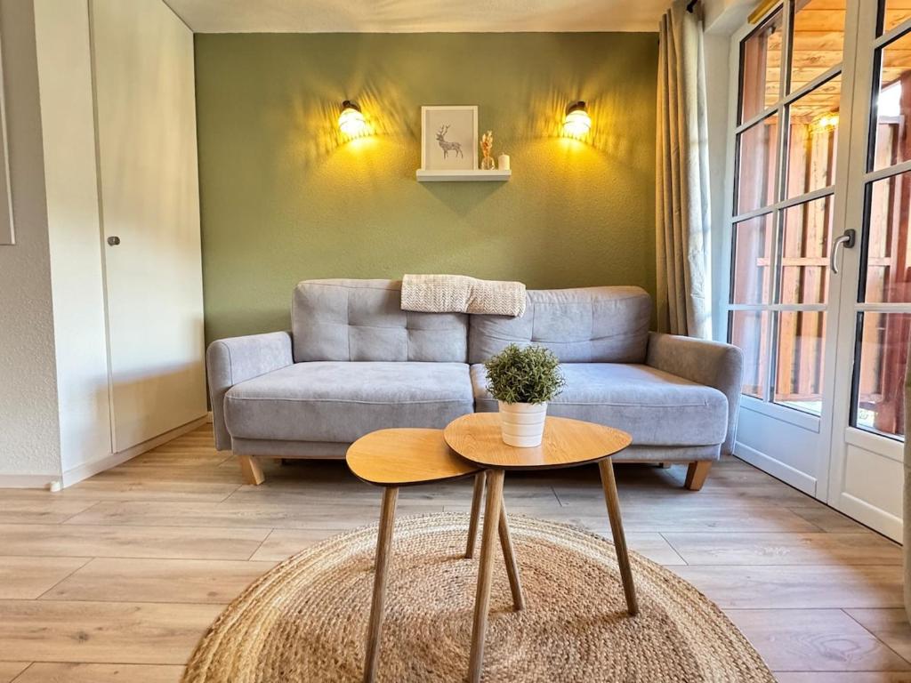 Гостиная зона в joli duplex 5pers, parking et balcon