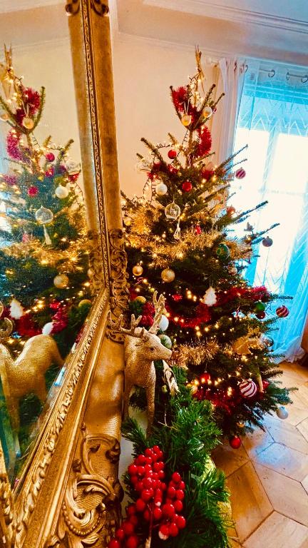 La Villa Alma Colmar – photo 28
