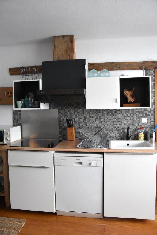 Kuchyň nebo kuchyňský kout v ubytování 4 Elements Appartmenthaus Monarda