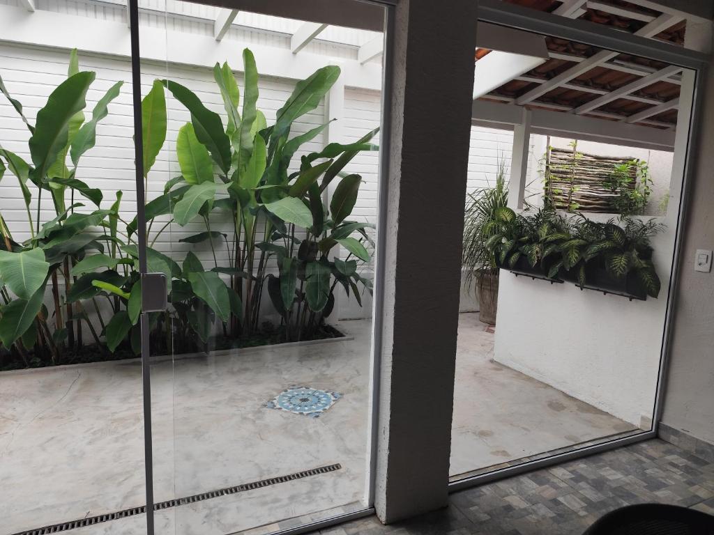 Um jardim em Pousada Hospedaria215