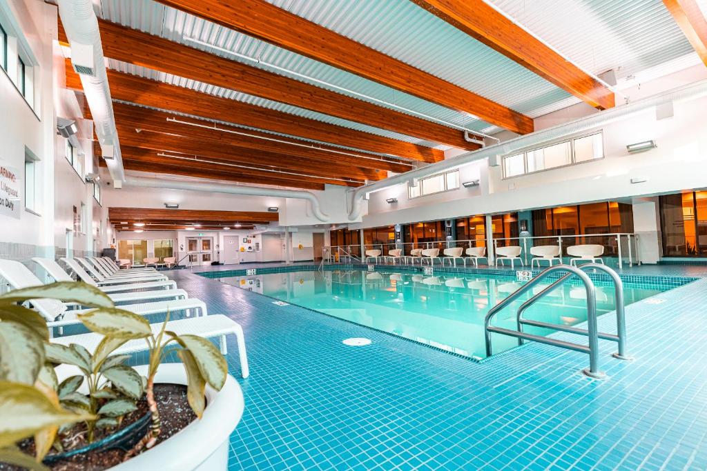 Bazén v ubytování Red Deer Resort & Casino nebo v jeho okolí