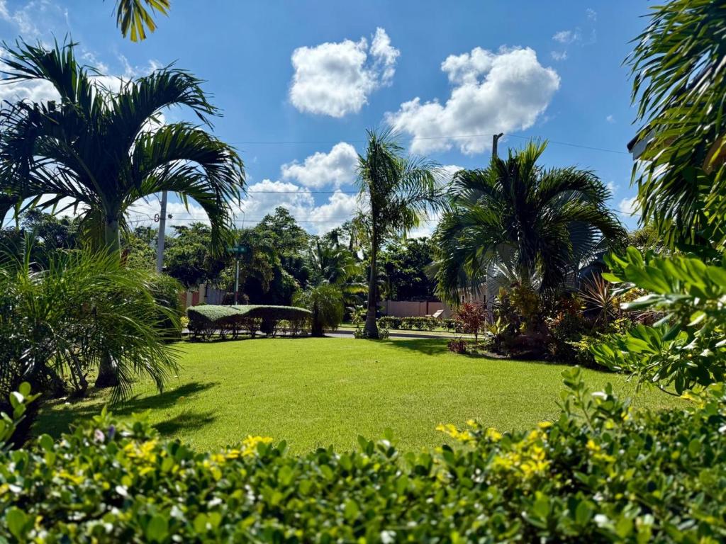 Zahrada ubytování Marriott Drax Hall w private pool, Ocho Rios
