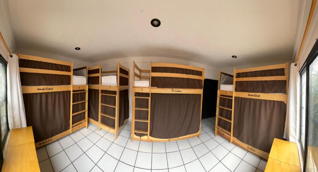 Hostal Roma Condesa - Karma Yatakhanede Ranza