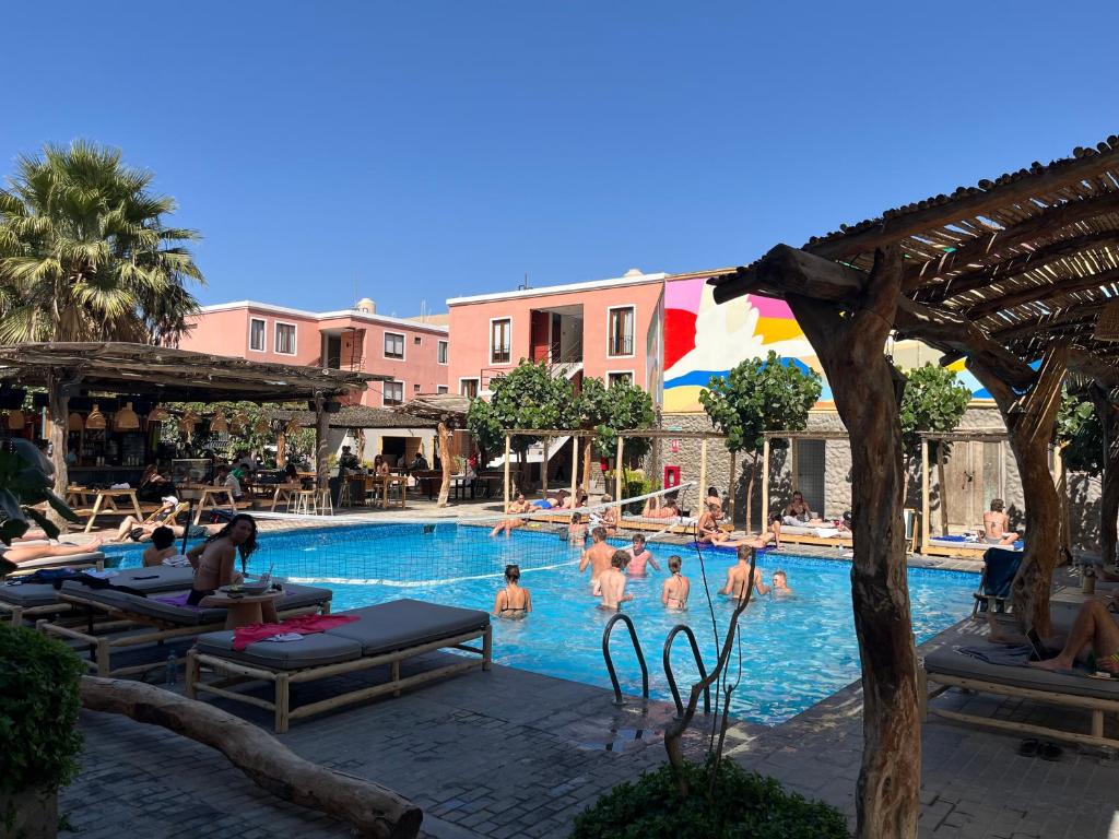 イカにあるViajero Huacachina Hostelのリゾートのスイミングプールを利用するグループの方