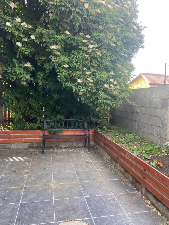 Um jardim no exterior de Cabañas Bosque Austral