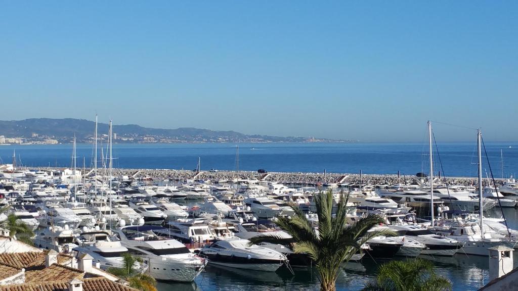 Park Plaza Suites Apartamentos - Resim 26