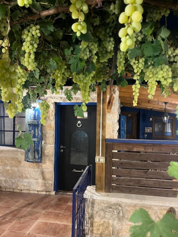 a bunch of grapes hanging over a door at לומינוס הגפן in Ḥurfeish
