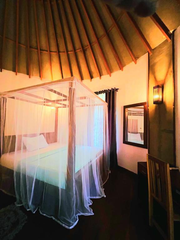 Turtle Watch Cabana - 1