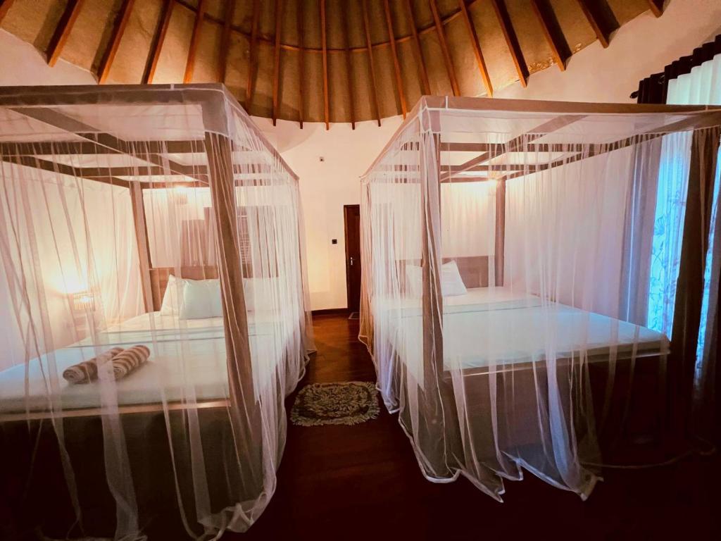 Turtle Watch Cabana - 3